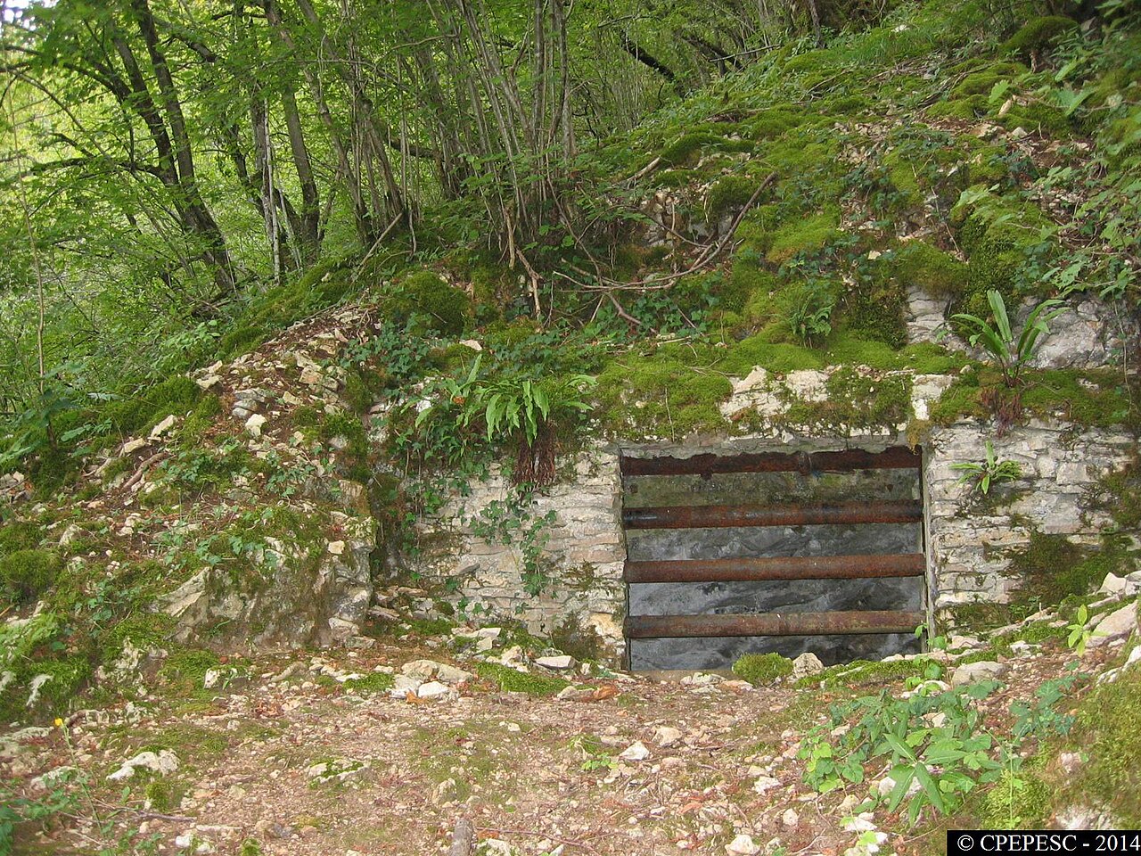 Grotte aux Ours de Gondenans-les-Moulins
